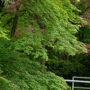 南京旅游 缩略图 9