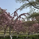 北京旅游 缩略图 6
