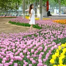 北京旅游 缩略图 9