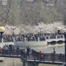 大连旅游 缩略图 18
