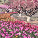 北京旅游 缩略图 10