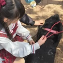 大连旅游 缩略图 17