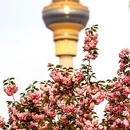 北京旅游 缩略图 9