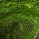 南京旅游 缩略图 11
