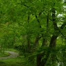 南京旅游 缩略图 3