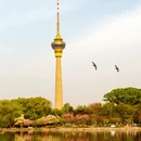 北京旅游 缩略图 10