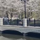 大连旅游 缩略图 14