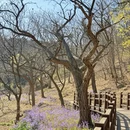 北京旅游 缩略图 14