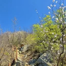 北京旅游 缩略图 10