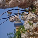 北京旅游 缩略图 4