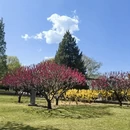 北京旅游 缩略图 1