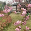 宁波旅游 缩略图 5