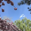 北京旅游 缩略图 4
