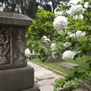 南京旅游 缩略图 11