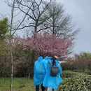 宁波旅游 缩略图 8
