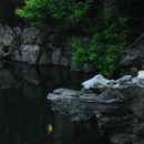 苏州旅游 缩略图 11