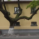 南京旅游 缩略图 1