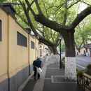 南京旅游 缩略图 7