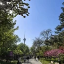 北京旅游 缩略图 5