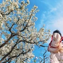 北京旅游 缩略图 15