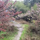 宁波旅游 缩略图 7
