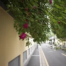 南京旅游 缩略图 4