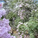 林芝旅游 缩略图 6