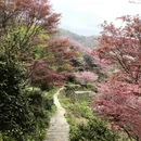 宁波旅游 缩略图 17