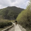 黄山旅游 缩略图 2