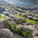 昌都旅游 缩略图 3