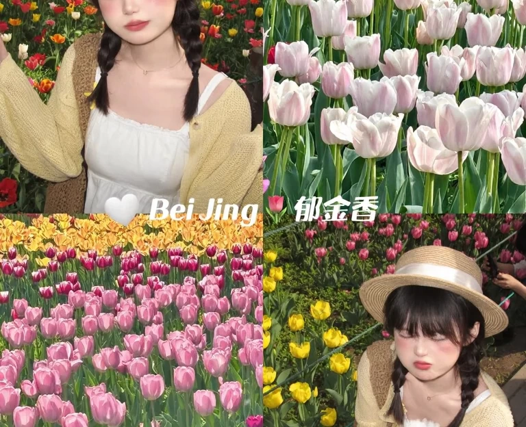 北京旅游 1