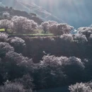 昌都旅游 缩略图 6