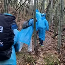 宁波旅游 缩略图 6