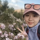 昆明旅游 缩略图 6
