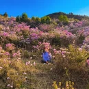 昆明旅游 缩略图 5