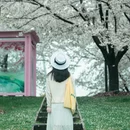 上海旅游 缩略图 12