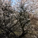 昌都旅游 缩略图 7