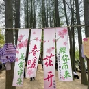 无锡旅游 缩略图 11