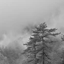 黄山旅游 缩略图 5