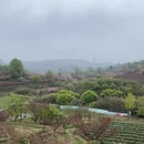 宁波旅游 缩略图 12