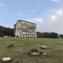 黄山旅游 缩略图 11