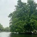南京旅游 缩略图 1
