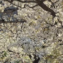 北京旅游 缩略图 13