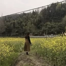 黄山旅游 缩略图 3