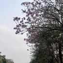 广州旅游 缩略图 10