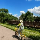 深圳旅游 缩略图 2