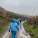 宁波旅游 缩略图 18