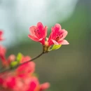 厦门旅游 缩略图 7