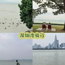 深圳旅游 缩略图 11