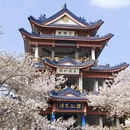 无锡旅游 缩略图 5
